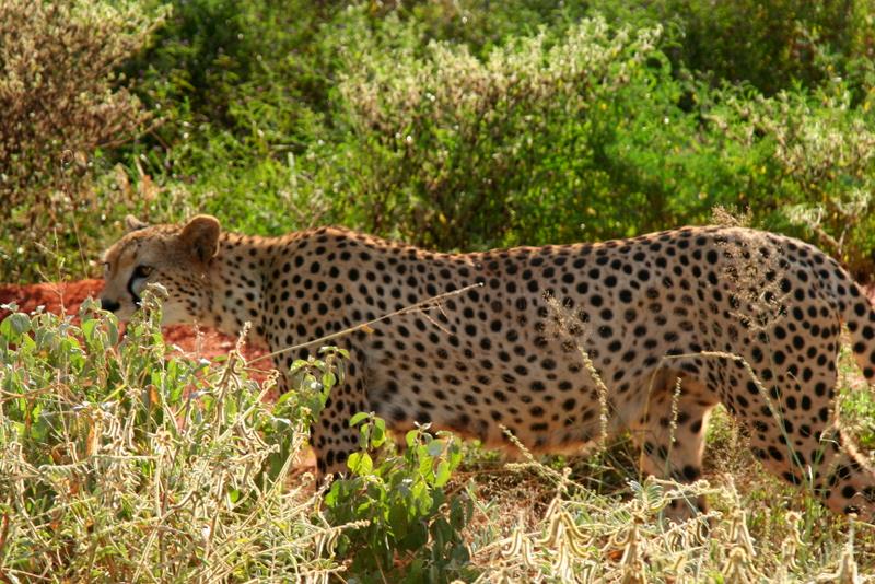 kenya_2007_0594